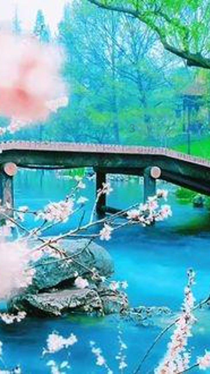 夏日时尚的爱丽